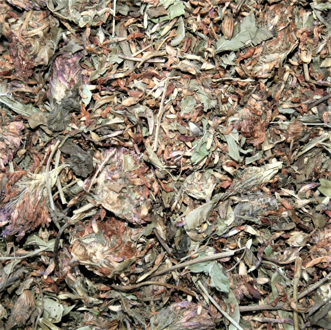Red Clover