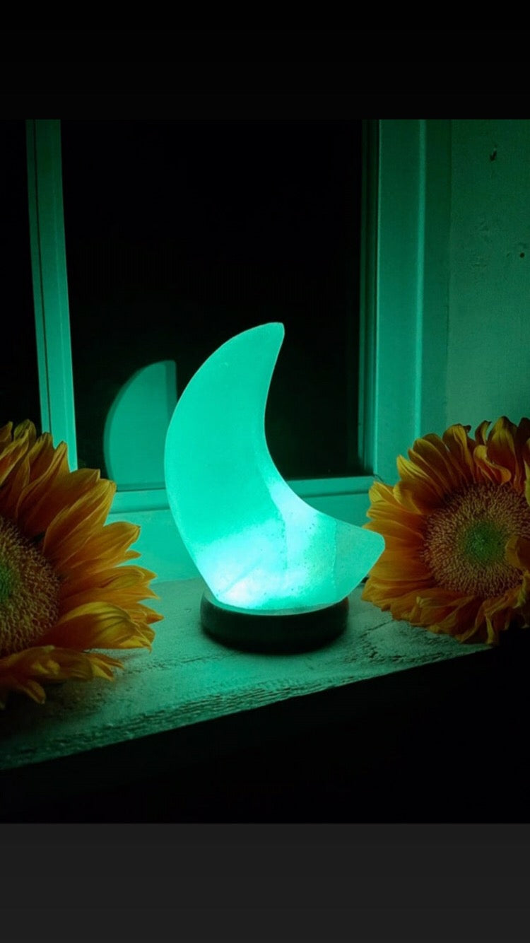 Luminous LED Moon Lamp