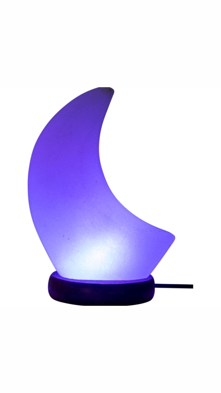 Luminous LED Moon Lamp