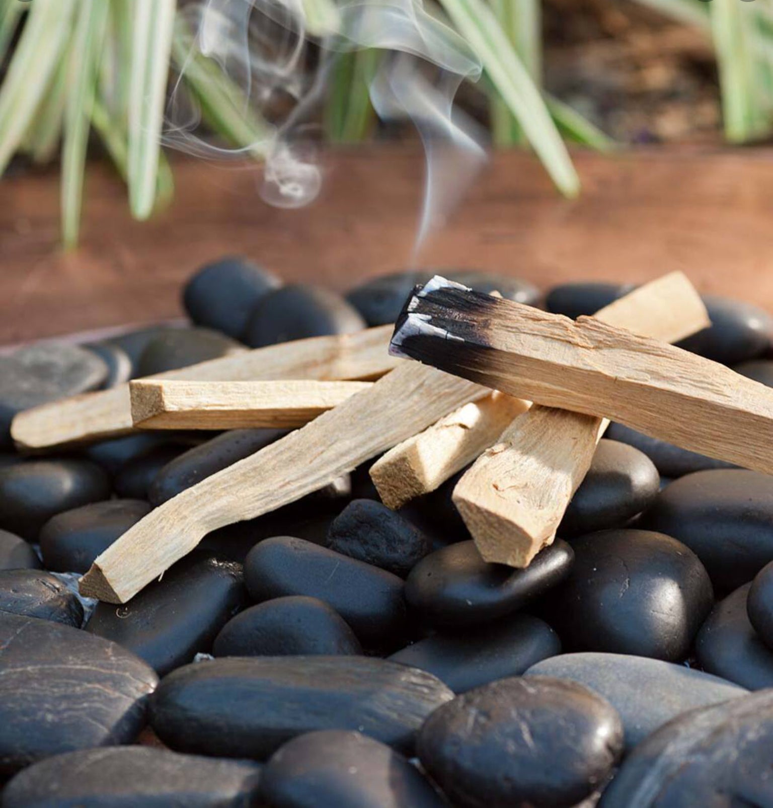 Palo Santo – 100% Natural, Sustainably Harvested